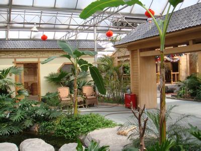 專業設計 施工各種鋼結構智能溫室、鋼結構室內園林景觀生態園工程、網架花卉溫室工程