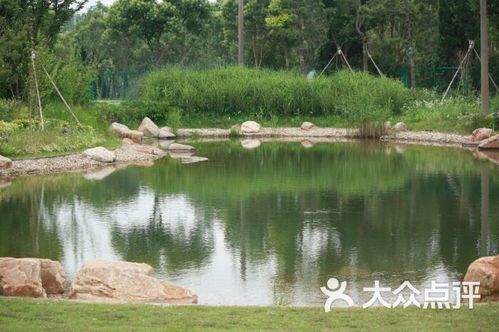 泰生農場生態園住宿 崇明店