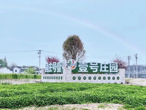 張家港人春天最正確的打開方式 馬上出發(fā)