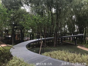 長春水文化生態(tài)園 預(yù)計十一前開放