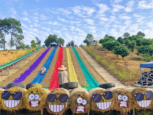 鳳崗農業生態園 省級休閑農業與鄉村旅游示范點的璀璨明珠